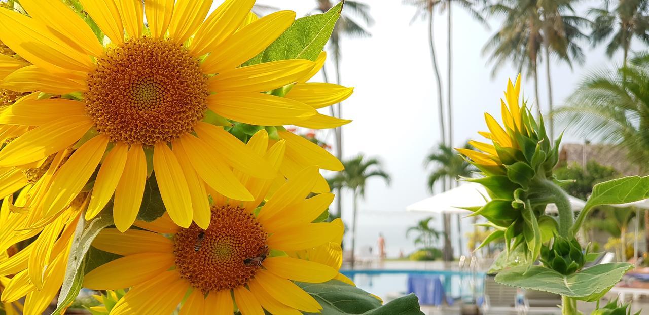 Sun & Sands Beach Hotel Mui Ne Exterior photo